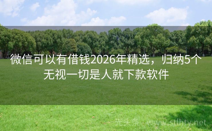 微信可以有借钱2026年精选，归纳5个无视一切是人就下款软件