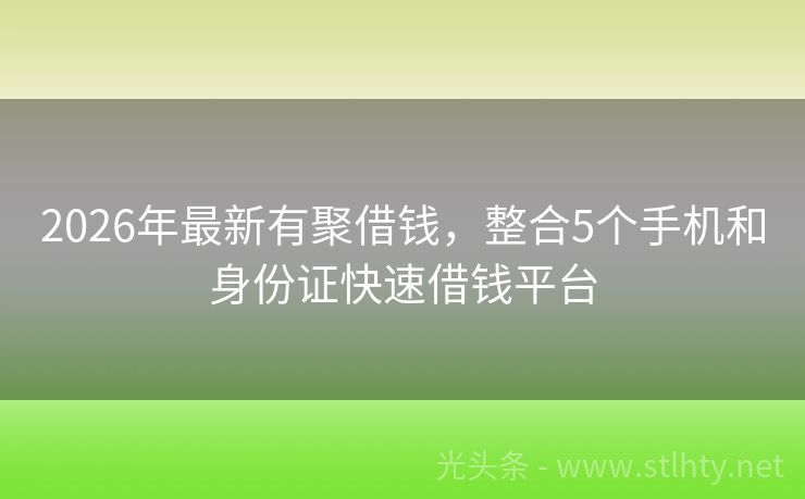 2026年最新有聚借钱，整合5个手机和身份证快速借钱平台