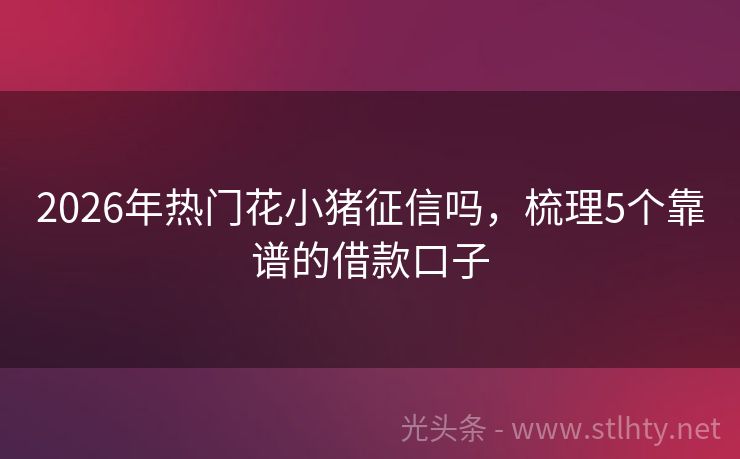 2026年热门花小猪征信吗，梳理5个靠谱的借款口子