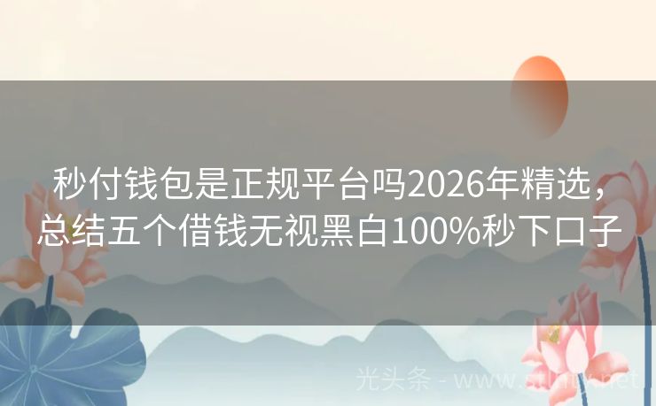 秒付钱包是正规平台吗2026年精选，总结五个借钱无视黑白100%秒下口子