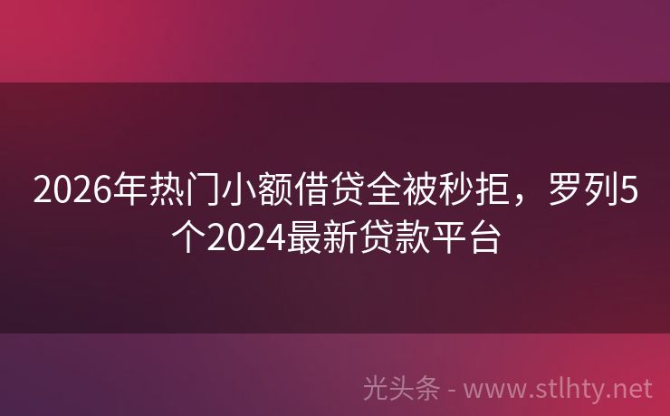 2026年热门小额借贷全被秒拒，罗列5个2024最新贷款平台