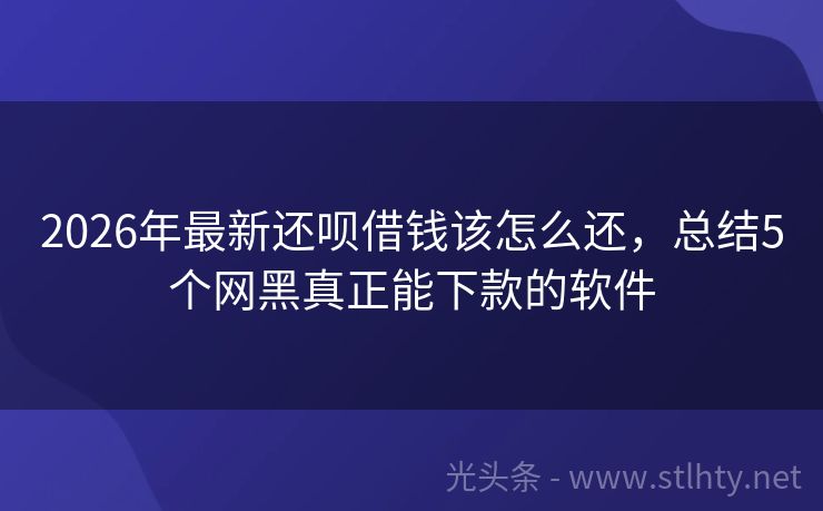 2026年最新还呗借钱该怎么还，总结5个网黑真正能下款的软件