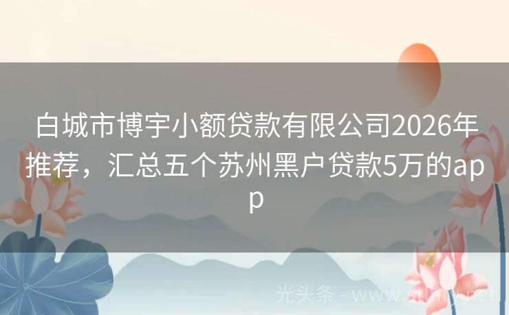 白城市博宇小额贷款有限公司2026年推荐，汇总五个苏州黑户贷款5万的app