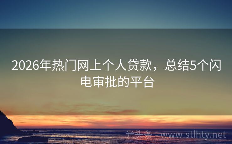 2026年热门网上个人贷款，总结5个闪电审批的平台