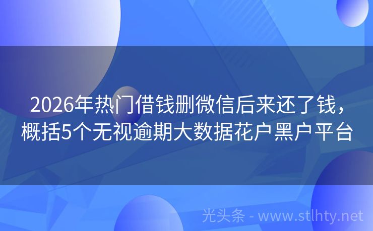 2026年热门借钱删微信后来还了钱，概括5个无视逾期大数据花户黑户平台