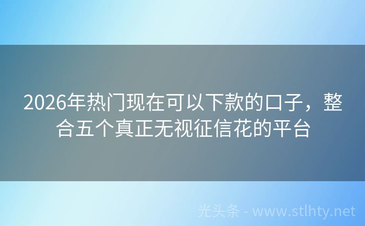 2026年热门现在可以下款的口子，整合五个真正无视征信花的平台