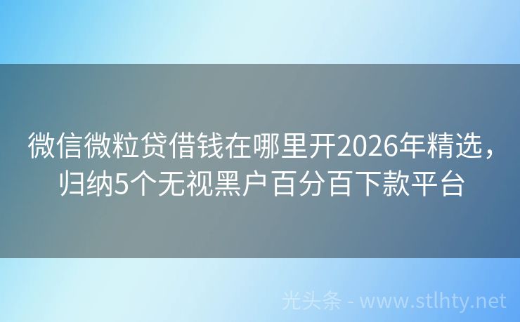 微信微粒贷借钱在哪里开2026年精选，归纳5个无视黑户百分百下款平台