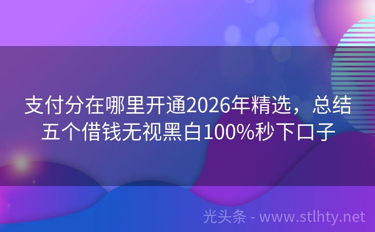 支付分在哪里开通2026年精选，总结五个借钱无视黑白100%秒下口子