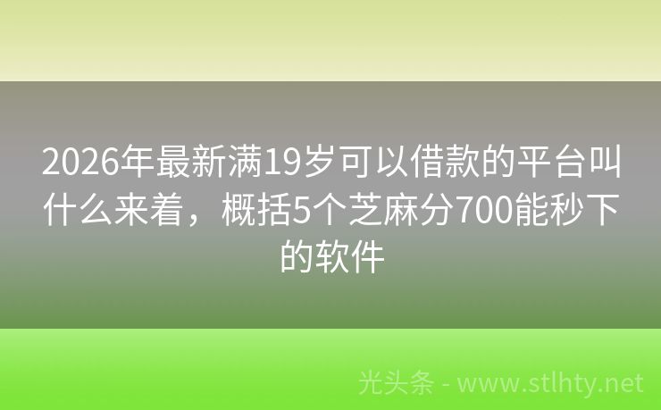 2026年最新满19岁可以借款的平台叫什么来着，概括5个芝麻分700能秒下的软件