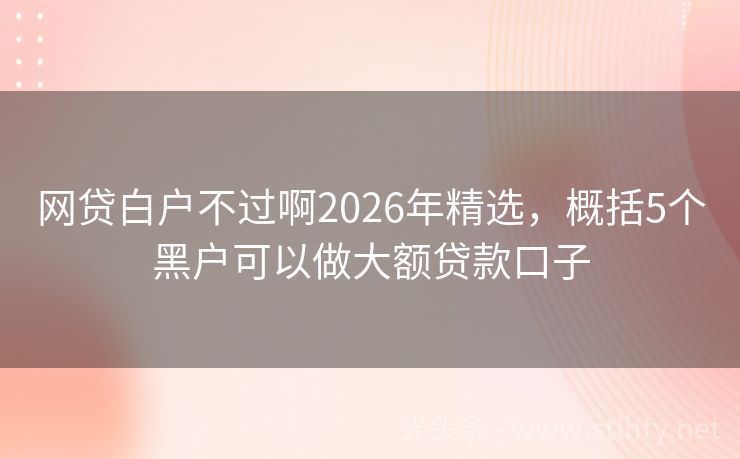 网贷白户不过啊2026年精选，概括5个黑户可以做大额贷款口子