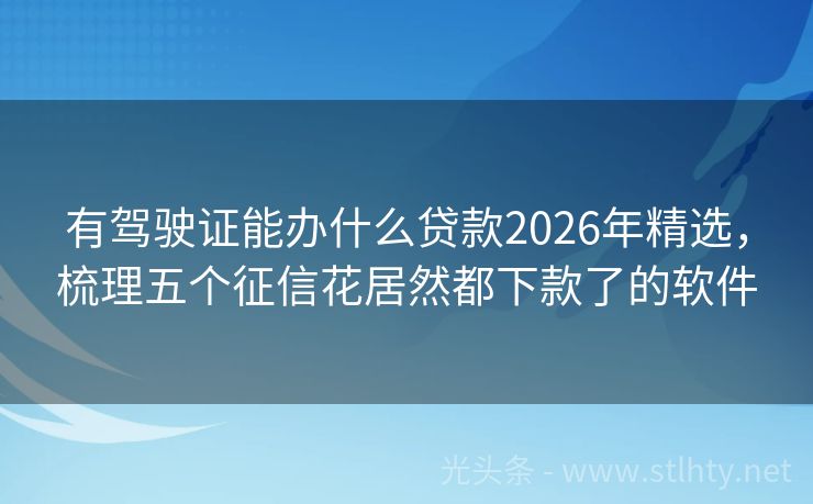 有驾驶证能办什么贷款2026年精选，梳理五个征信花居然都下款了的软件