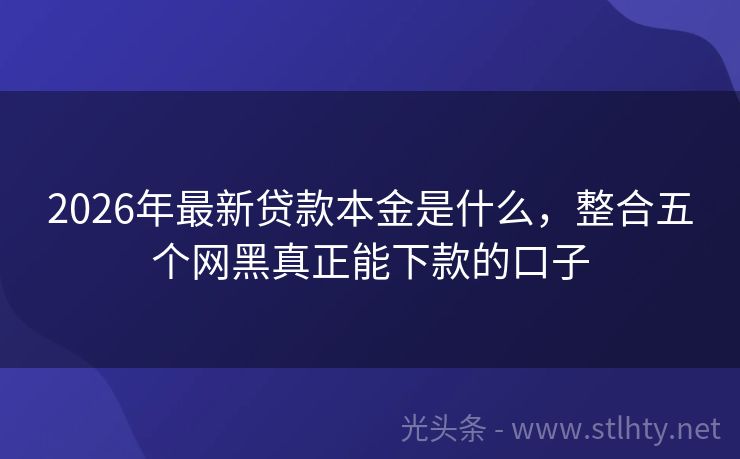 2026年最新贷款本金是什么，整合五个网黑真正能下款的口子