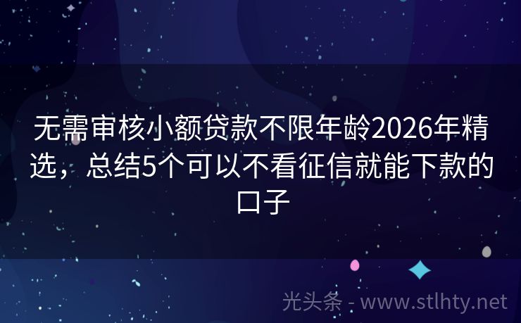 无需审核小额贷款不限年龄2026年精选，总结5个可以不看征信就能下款的口子