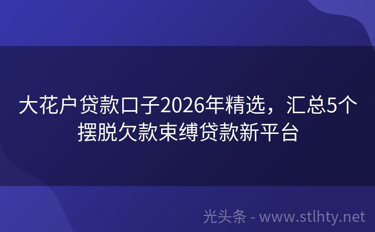 大花户贷款口子2026年精选，汇总5个摆脱欠款束缚贷款新平台