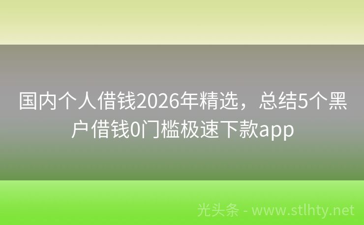 国内个人借钱2026年精选，总结5个黑户借钱0门槛极速下款app