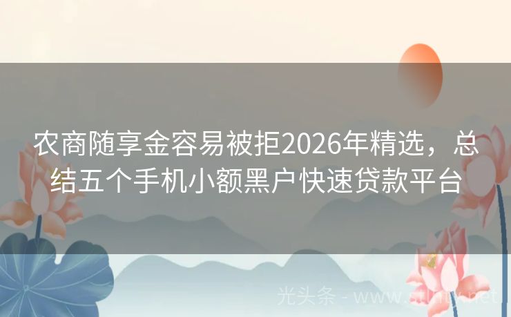 农商随享金容易被拒2026年精选，总结五个手机小额黑户快速贷款平台