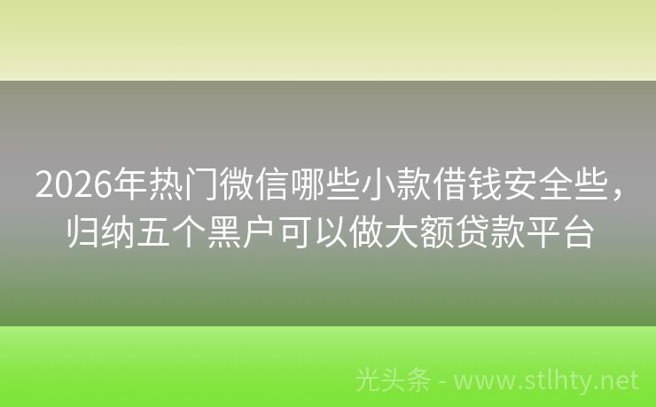 2026年热门微信哪些小款借钱安全些，归纳五个黑户可以做大额贷款平台