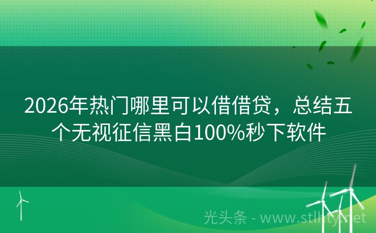 2026年热门哪里可以借借贷，总结五个无视征信黑白100%秒下软件