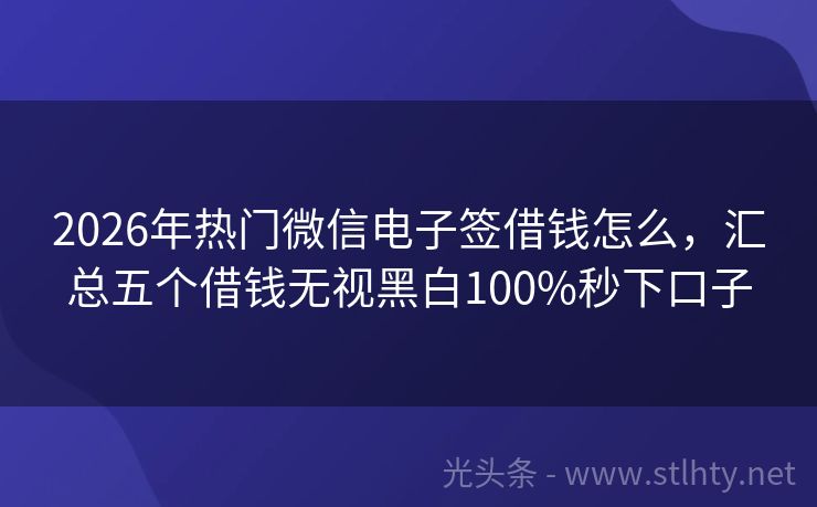 2026年热门微信电子签借钱怎么，汇总五个借钱无视黑白100%秒下口子