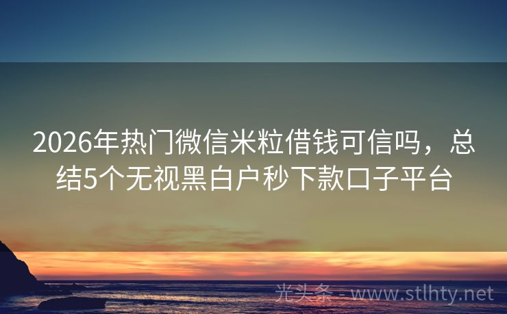 2026年热门微信米粒借钱可信吗，总结5个无视黑白户秒下款口子平台