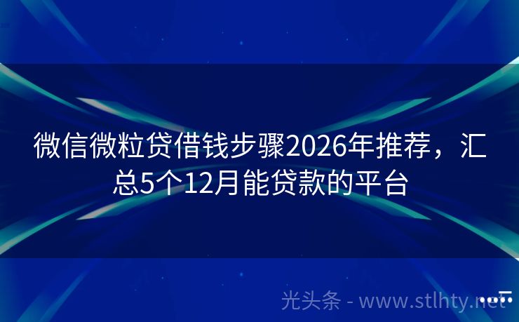 微信微粒贷借钱步骤2026年推荐，汇总5个12月能贷款的平台