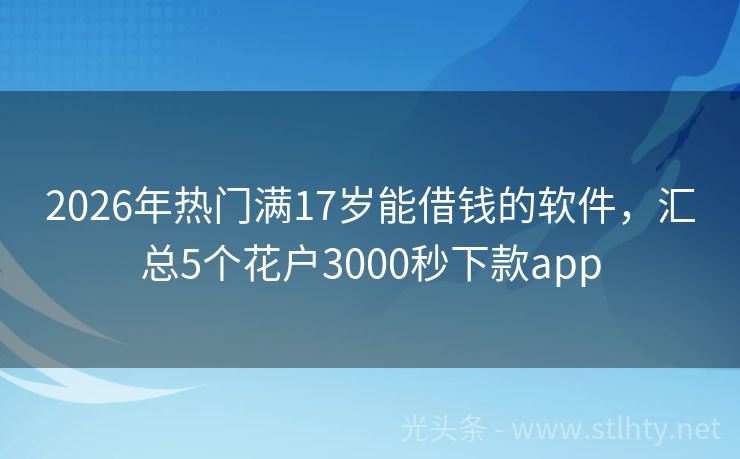 2026年热门满17岁能借钱的软件，汇总5个花户3000秒下款app