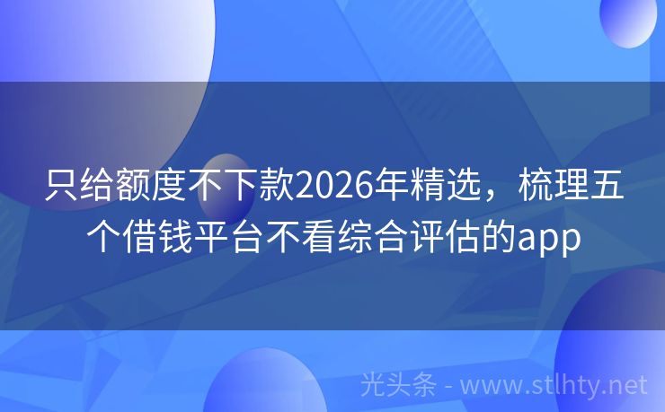 只给额度不下款2026年精选，梳理五个借钱平台不看综合评估的app