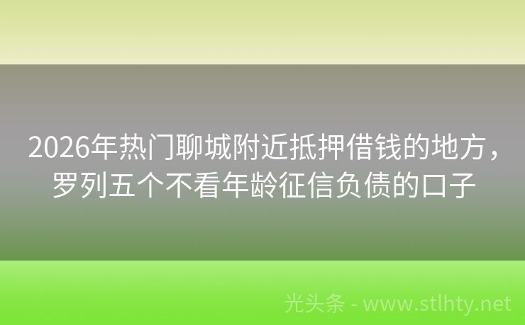 2026年热门聊城附近抵押借钱的地方，罗列五个不看年龄征信负债的口子