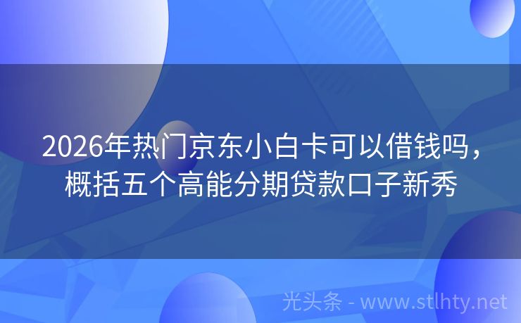 2026年热门京东小白卡可以借钱吗，概括五个高能分期贷款口子新秀