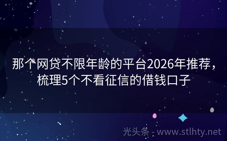 那个网贷不限年龄的平台2026年推荐，梳理5个不看征信的借钱口子