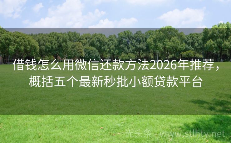 借钱怎么用微信还款方法2026年推荐，概括五个最新秒批小额贷款平台
