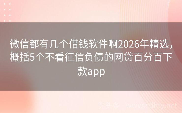 微信都有几个借钱软件啊2026年精选，概括5个不看征信负债的网贷百分百下款app