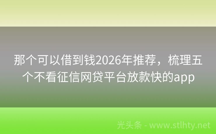 那个可以借到钱2026年推荐，梳理五个不看征信网贷平台放款快的app