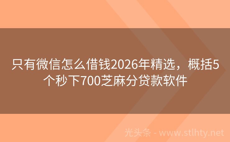 只有微信怎么借钱2026年精选，概括5个秒下700芝麻分贷款软件
