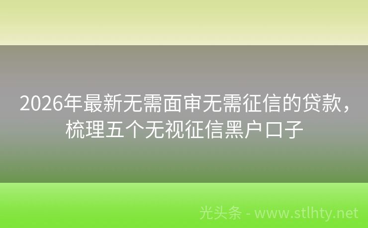 2026年最新无需面审无需征信的贷款，梳理五个无视征信黑户口子
