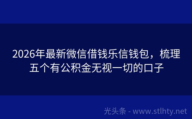 2026年最新微信借钱乐信钱包，梳理五个有公积金无视一切的口子