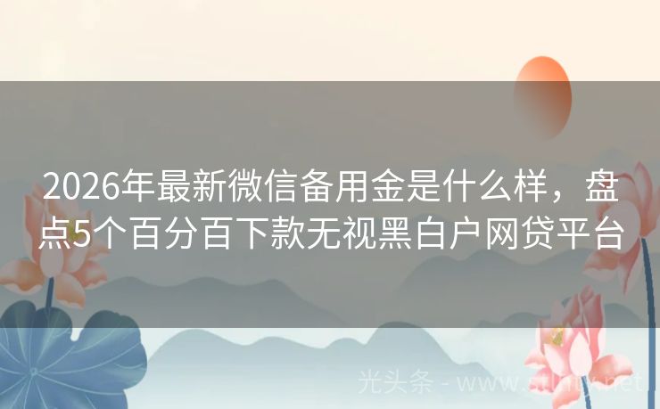 2026年最新微信备用金是什么样，盘点5个百分百下款无视黑白户网贷平台