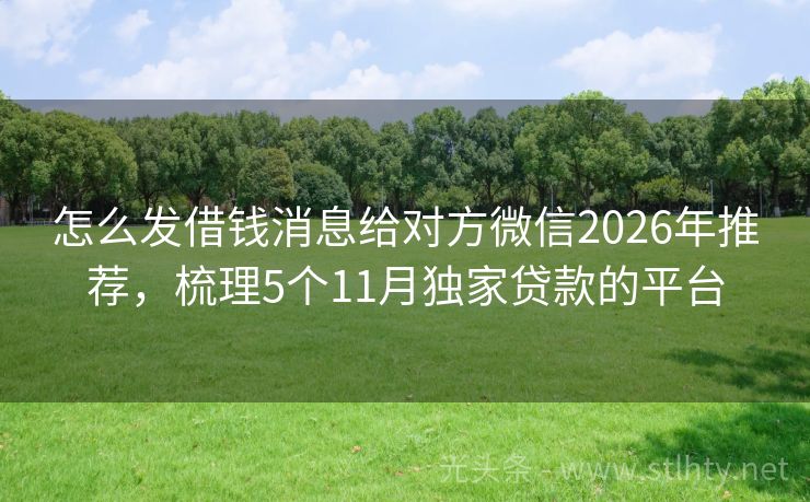 怎么发借钱消息给对方微信2026年推荐，梳理5个11月独家贷款的平台