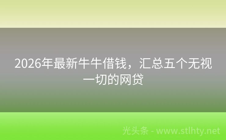 2026年最新牛牛借钱，汇总五个无视一切的网贷