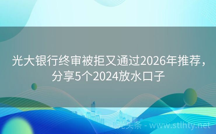 光大银行终审被拒又通过2026年推荐，分享5个2024放水口子