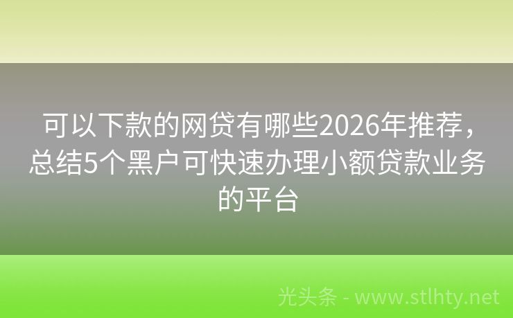 可以下款的网贷有哪些2026年推荐，总结5个黑户可快速办理小额贷款业务的平台