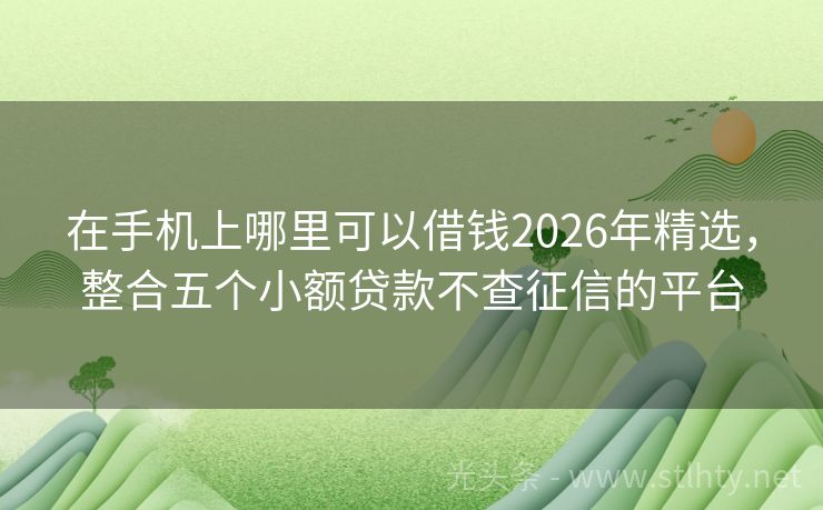 在手机上哪里可以借钱2026年精选，整合五个小额贷款不查征信的平台