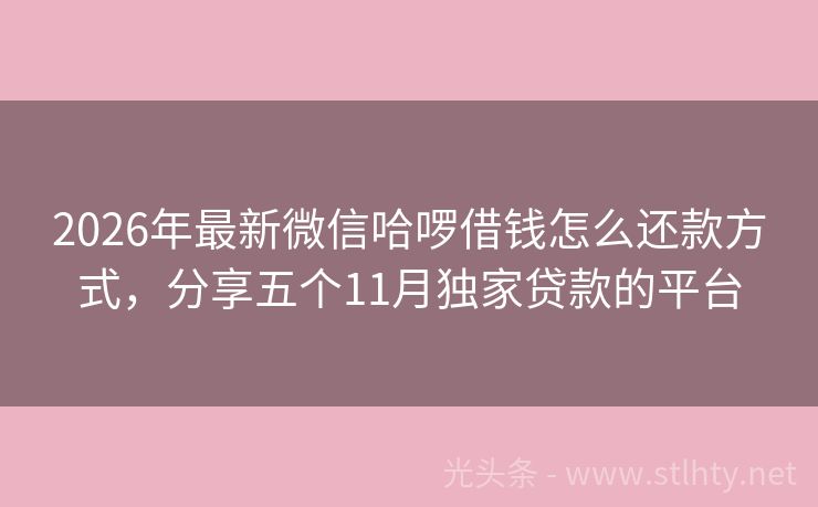 2026年最新微信哈啰借钱怎么还款方式，分享五个11月独家贷款的平台