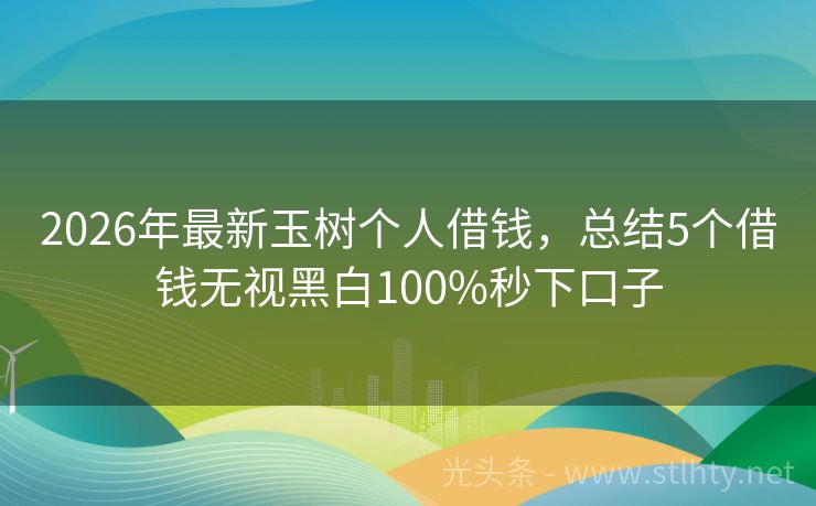 2026年最新玉树个人借钱，总结5个借钱无视黑白100%秒下口子