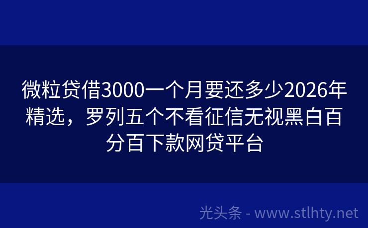 微粒贷借3000一个月要还多少2026年精选，罗列五个不看征信无视黑白百分百下款网贷平台