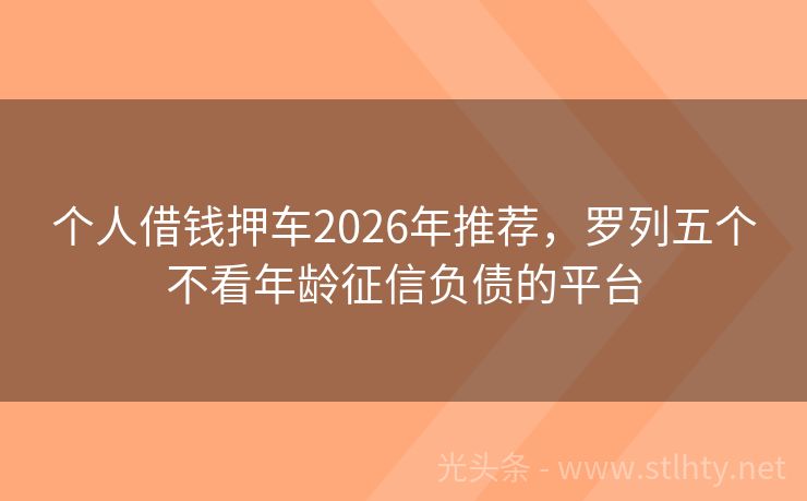 个人借钱押车2026年推荐，罗列五个不看年龄征信负债的平台