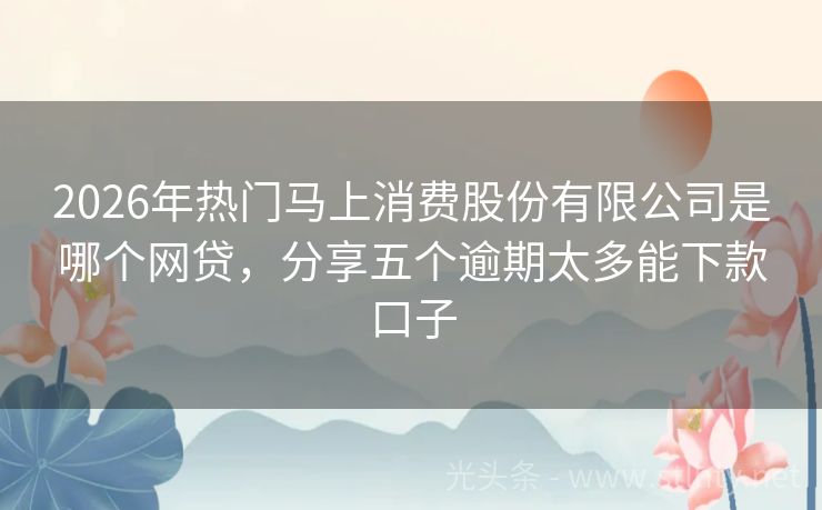 2026年热门马上消费股份有限公司是哪个网贷，分享五个逾期太多能下款口子