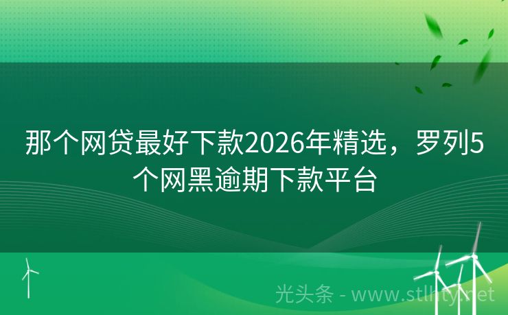 那个网贷最好下款2026年精选，罗列5个网黑逾期下款平台
