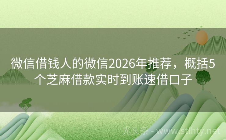 微信借钱人的微信2026年推荐，概括5个芝麻借款实时到账速借口子