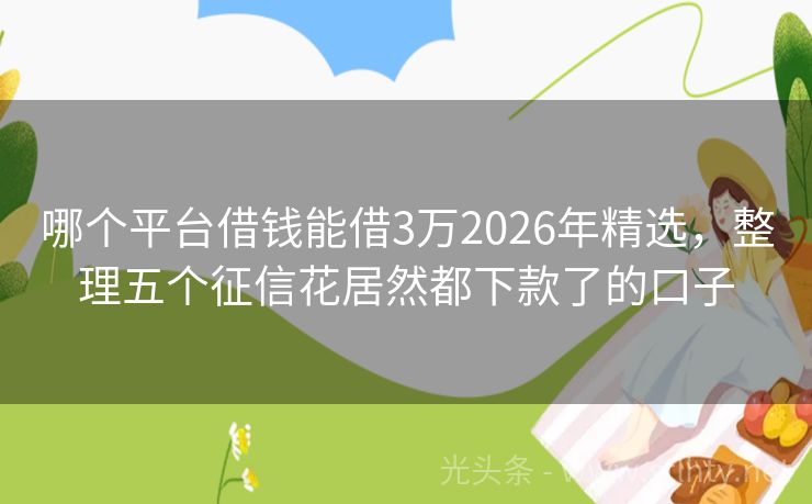 哪个平台借钱能借3万2026年精选，整理五个征信花居然都下款了的口子